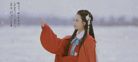 经典枭婿小说排行榜