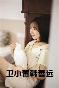卫小青韩善远全文小说