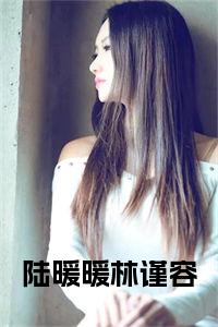 陆暖暖林谨容小说完整