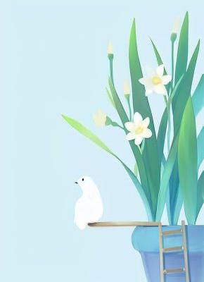 总裁夫人她五行缺德