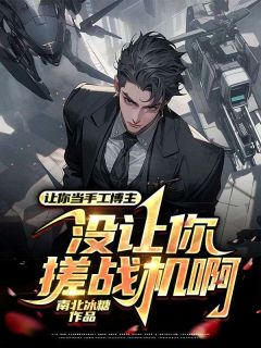 直播手搓战斗机,网友劝我自首