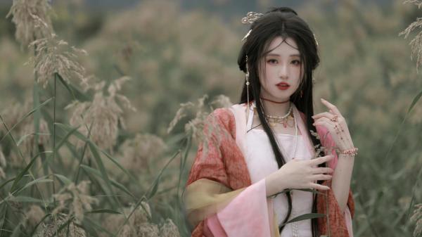 沈姝璃沈月华全员穿书皆反派，我靠毒舌当团宠目录_沈姝璃沈月华阅读