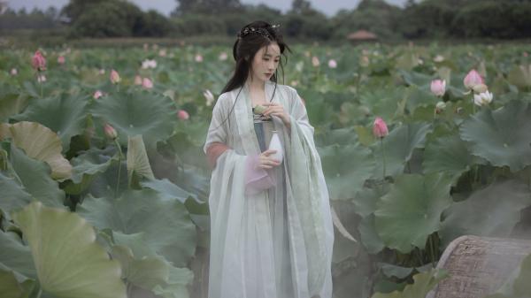 青春小说《她去时带走四季》主角林岁棠贺行舟夏晴初全文精彩内容免费阅读