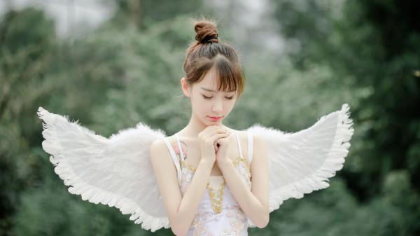 沈妙桐谢君愿长篇免费小说，沈妙桐谢君愿最新章节在线阅读