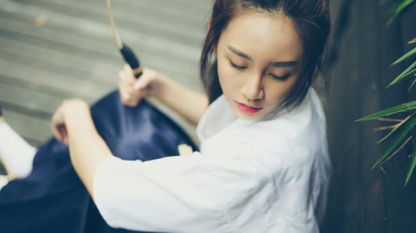 朕的大秦通网了嬴政白朴小说精彩内容在线阅读