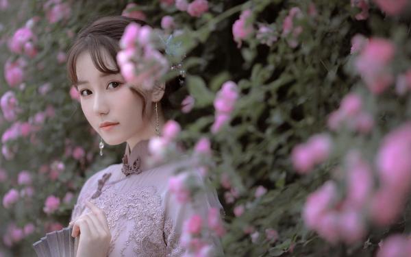 红楼庶子，开局封狼居胥贾珞贾政完整篇在线阅读