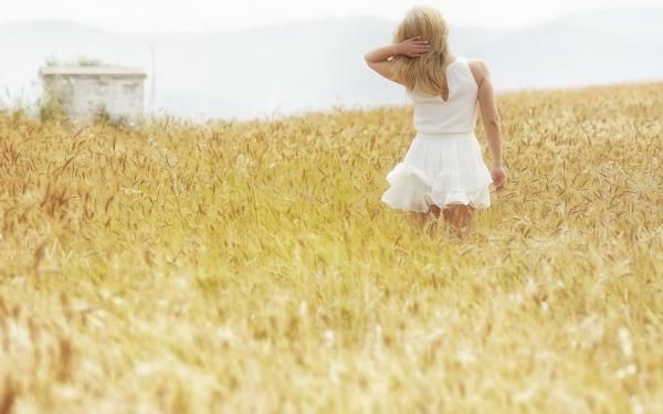 阮云烟谢屿尘第7章免费阅读 阮云烟谢屿尘全文无弹窗