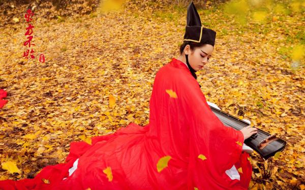 山海拒相逢免费试读 林晓秦雪小说章节目录