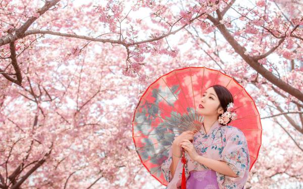 《华夏无鬼神？中式恐怖吓哭全球》小说大结局免费试读 白浪约翰小说阅读