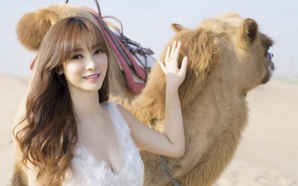 《重回选夫日,我改嫁摄政王宠冠京城》宁倾沅夜时渊大结局免费试读