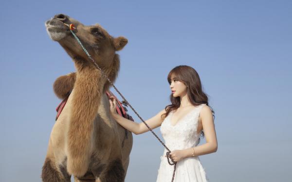 盛晚情裴承宴章节 盛晚情裴承宴小说目录阅读
