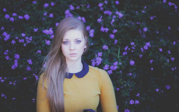 《傅灼年夏颜》小说全文免费阅读 西风卷尽旧时信小说全文