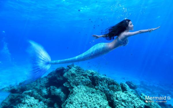 北狄萧玄月姬最新章节免费阅读（完整版未删节）