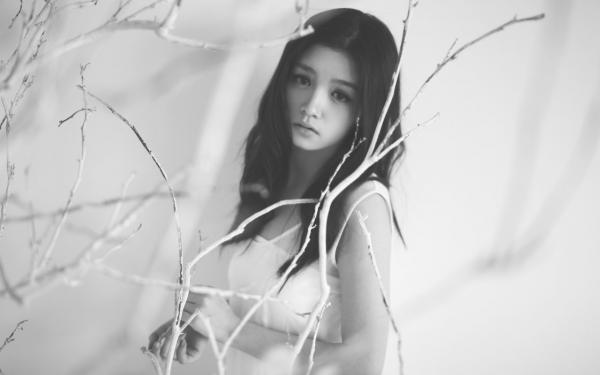 独家小说苏晚溪陆卿 苏晚溪陆卿后续