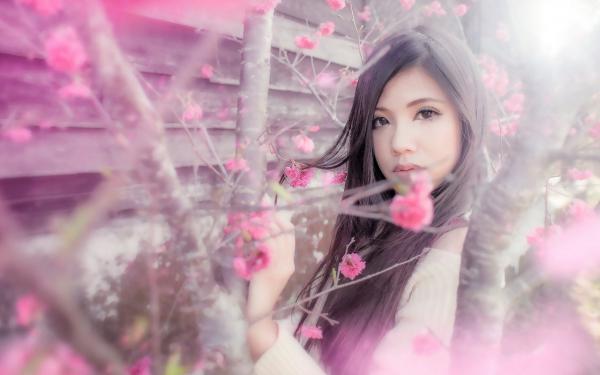 温栩若玄辞小说好看吗 温栩若玄辞最后结局如何
