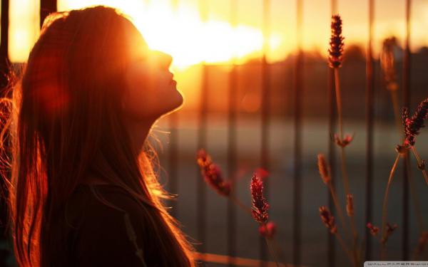 《杨凡苏晓晓》这个杀手不太冷漠章节目录免费阅读