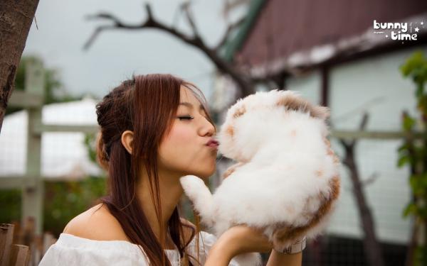 李枕春卫惜年腹黑夫君他太难搞,我只想被休!小说阅读 李枕春卫惜年文本免费试读